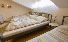 Guest House Stari